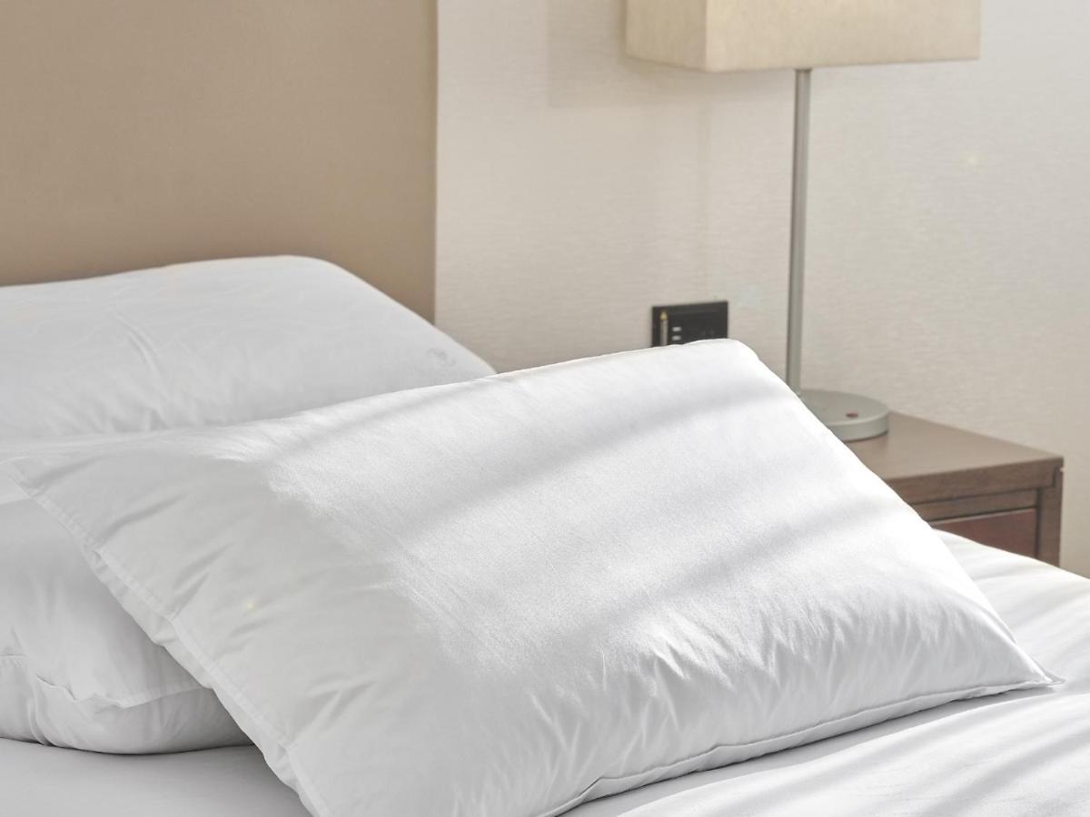 Windsor Hotel Taichung Esterno foto A pillow